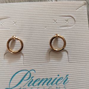 Premier Designs Subtle earring